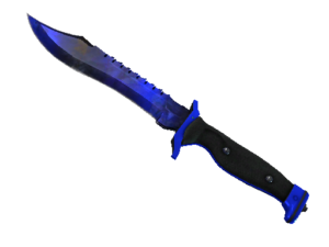 Bowie Knife | Doppler