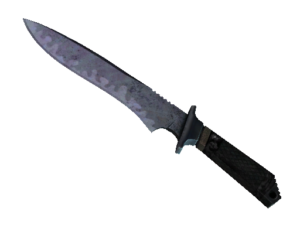 Classic Knife | Blue Steel