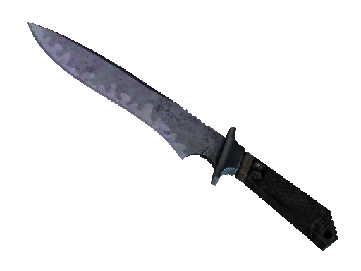 ★ StatTrak™ Classic Knife | Blue Steel (Well-Worn) - Covert - Knife