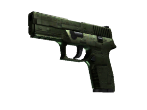 P250 | Iron Clad