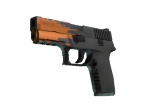 P250 | Splash