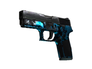 P250 Undertow