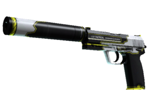 USP-S | Torque