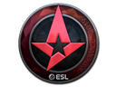 Foil Astralis | Katowice 2019 | Astralis