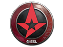 Foil Astralis | Katowice 2019 | Astralis
