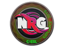 Sticker | NRG (Holo) | Katowice 2019