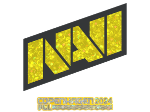 Gold Natus Vincere | Copenhagen 2024 | Natus Vincere