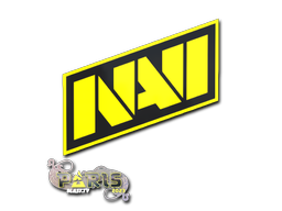 Gold Natus Vincere | Paris 2023 | Natus Vincere