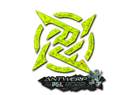 Gold Ninjas in Pyjamas | Antwerp 2022 | Ninjas in Pyjamas