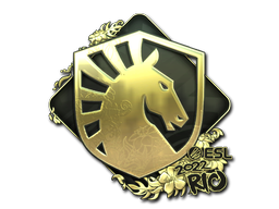 Gold Team Liquid | Rio 2022 | Team Liquid