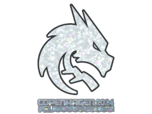 Gold Team Spirit | Copenhagen 2024 | Team Spirit