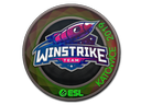 Sticker | Winstrike Team (Holo) | Katowice 2019 - Remarkable - Sticker - from Katowice 2019 Minor Challengers