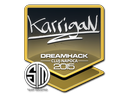 Foil karrigan