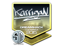 Foil karrigan