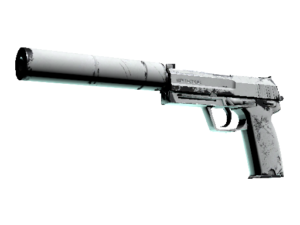 USP-S | Whiteout