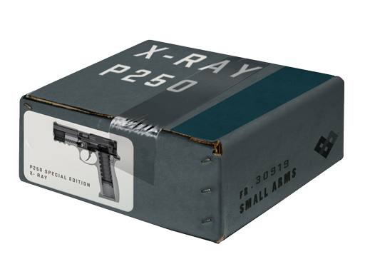 X-Ray P250 Package - Container - from The X-Ray Collection